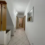 Ivan Split